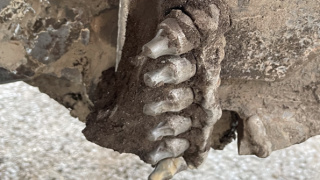 Fréza na kanálové vpuste Fréza na kanálové vpuste